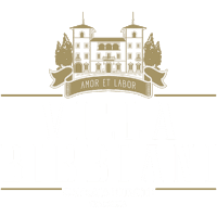 logo Villa Bibbiani