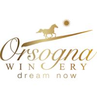 wine siena logo Cantina Orsogna 1964