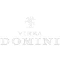 wine siena logo Vinea Domini