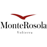 wine siena logo Tenuta Monterosola