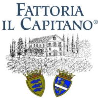 wine siena logo Azienda Agricola Balbi - Fattoria il Capitano