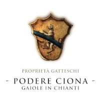 wine siena logo Ciona S.S.